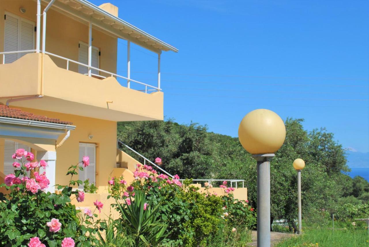 Lefkothea Apartments Kassiopi Exterior photo